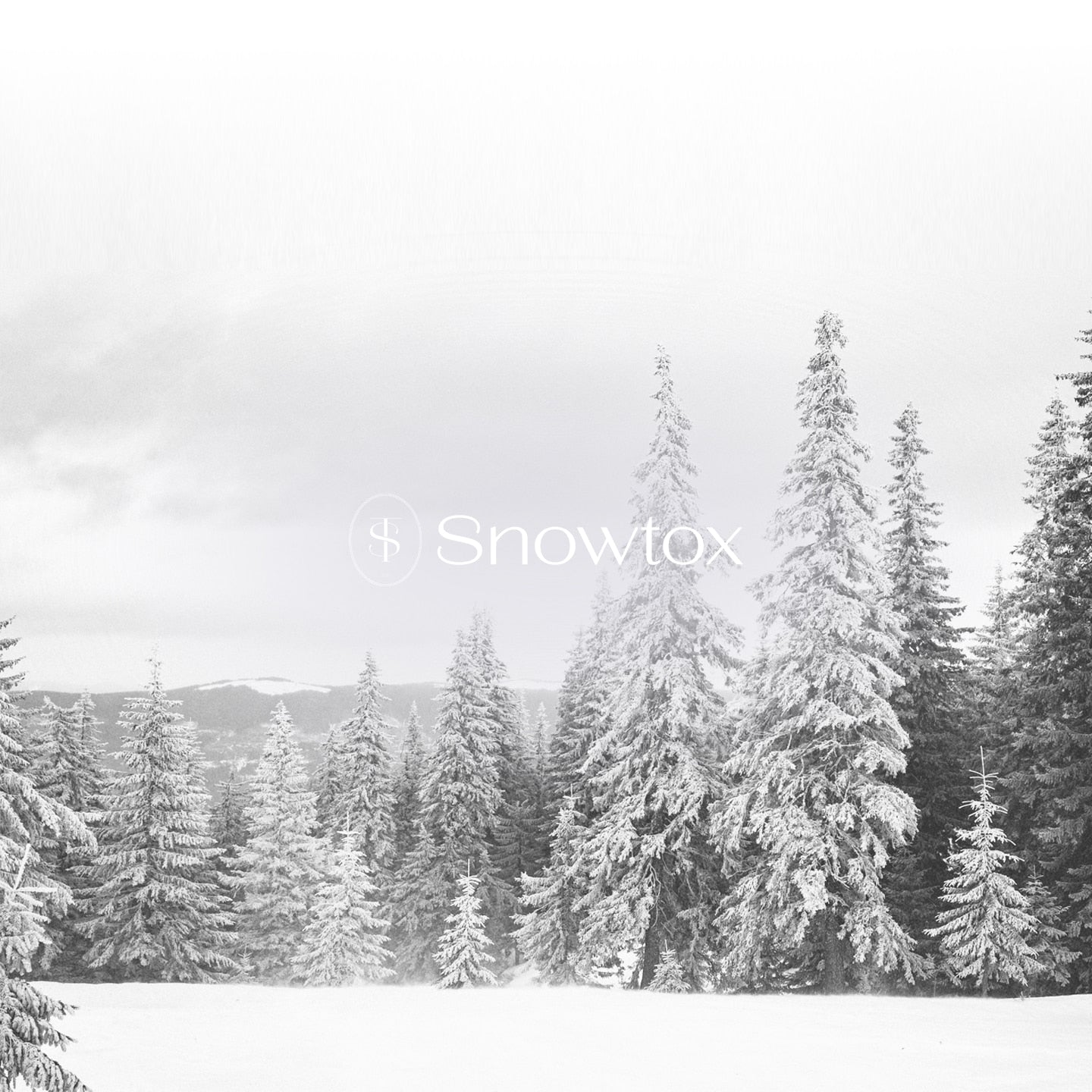 Snowtox Crystal Treatment Serum + Lip Plumper – Radiance &amp; Hydration Beauty Duo